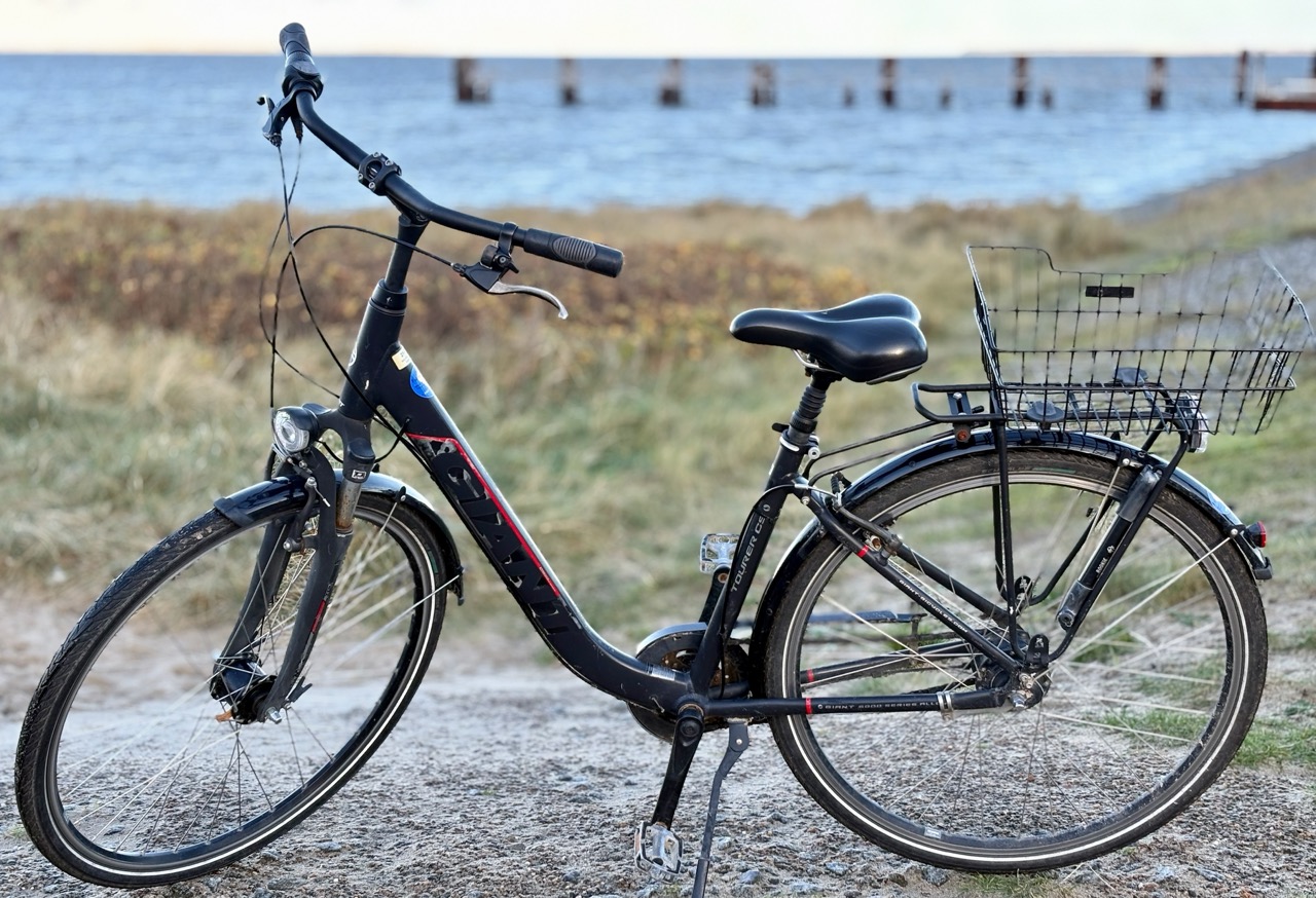 Smart Bio-Bike Damen – günstig & komfortabel Amrum erkunden 1