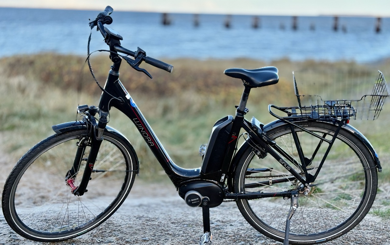Smart E-Bike Damen – günstig & komfortabel Amrum erkunden 1